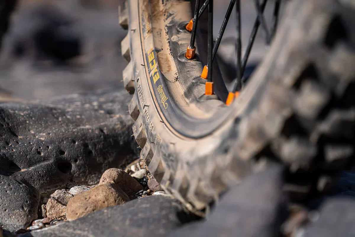 Dubya wheels on a KTM 890 Adventure R