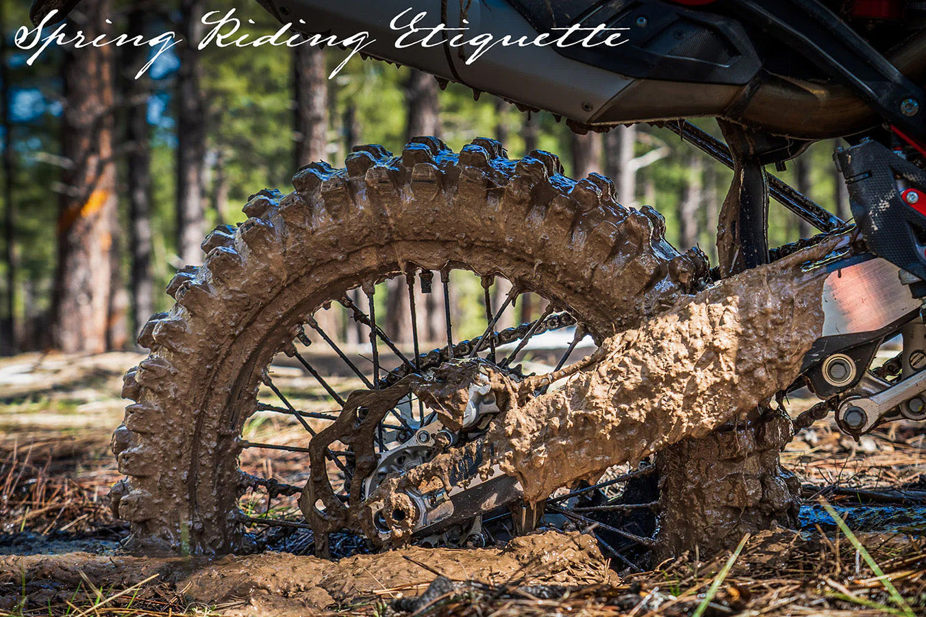 SPRING RIDING ETIQUETTE