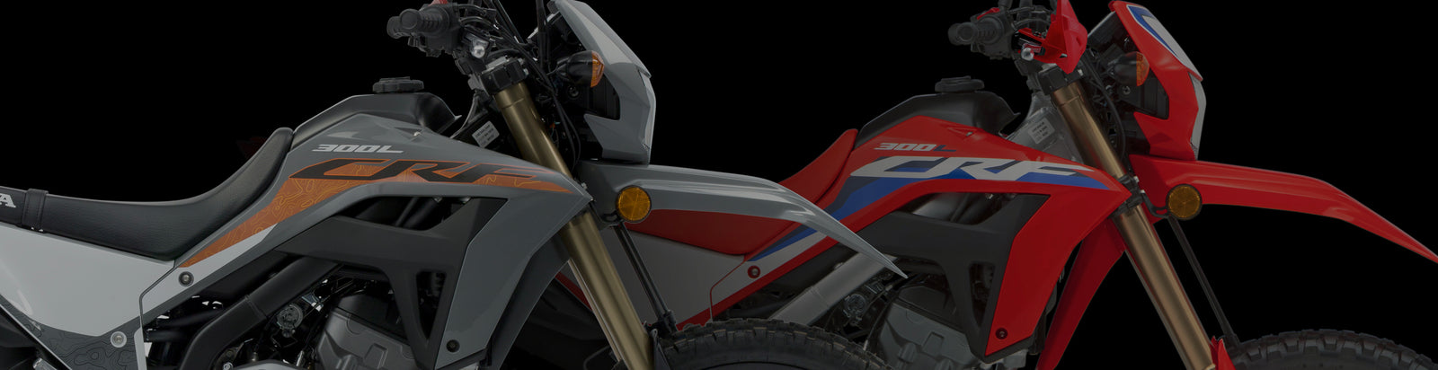 2025 Honda CRF300L Graphics