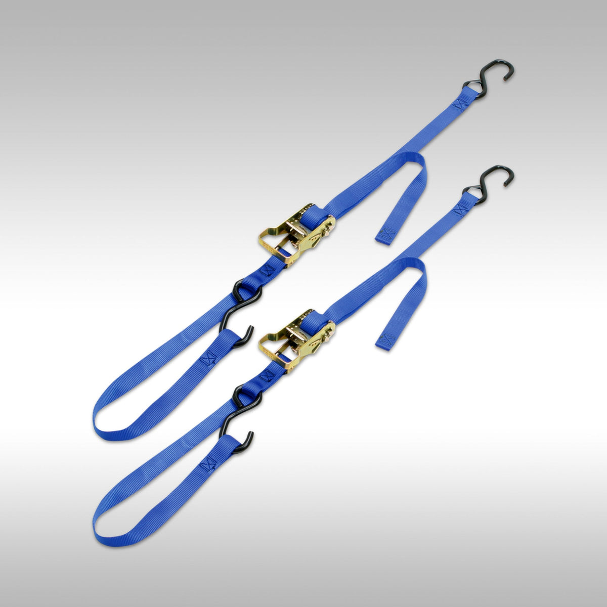 Ancra Integra Ratcheting Tie Down Straps in Blue.