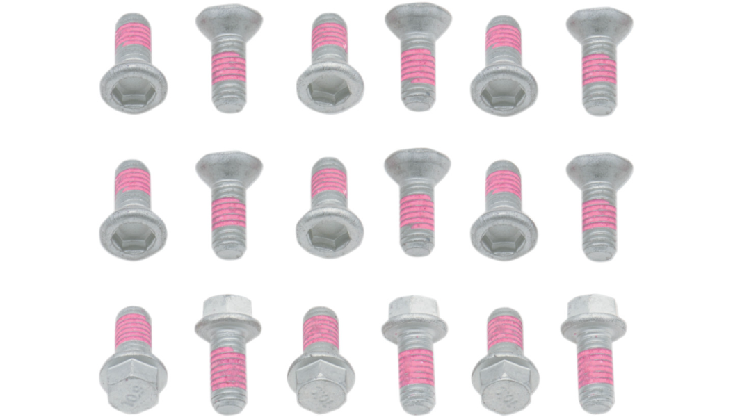 Bolt Motorcycle Hardware SRTR125250 brake rotor bolt kit featuring pre-applied threadlocker.