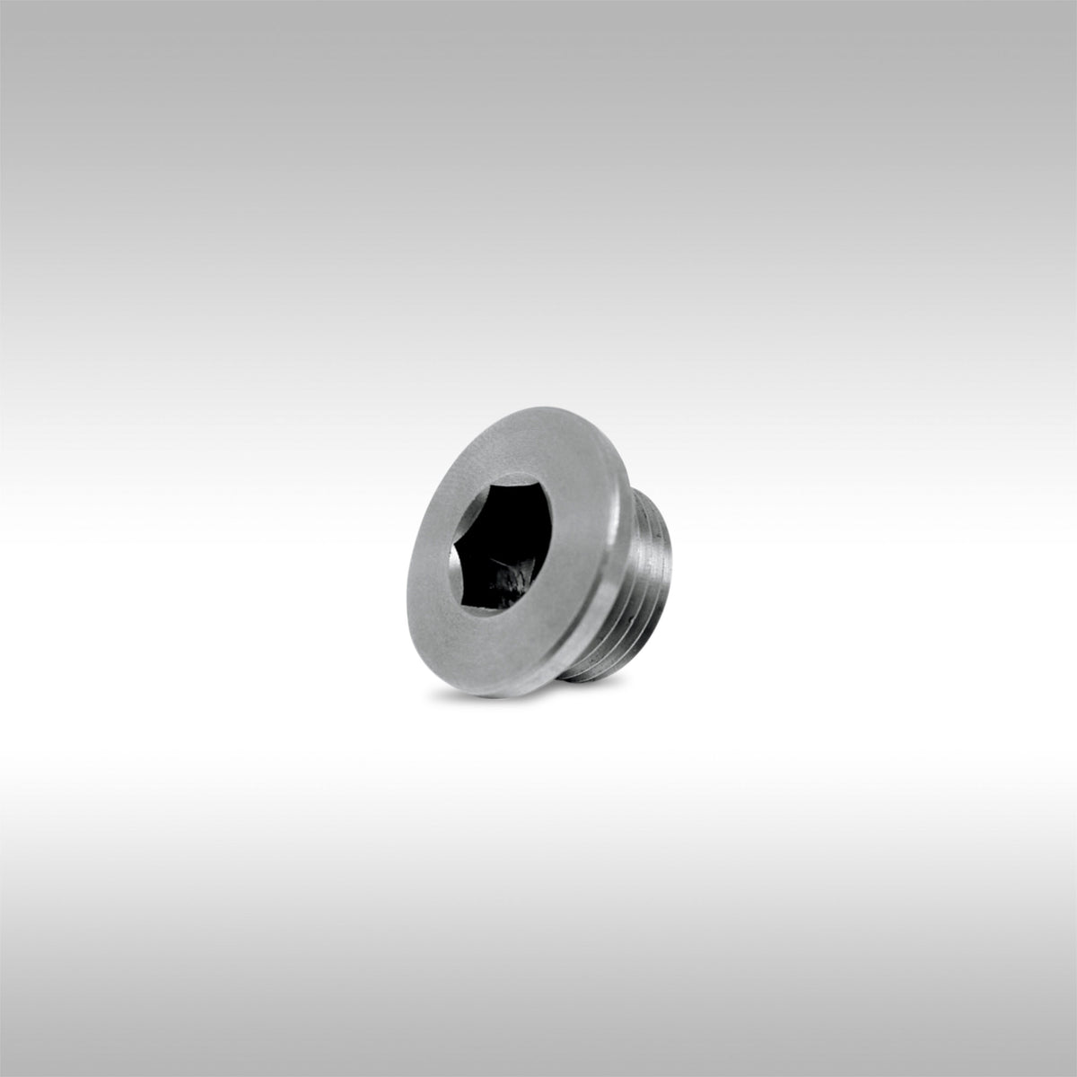 TMBR MOTO :: EXHAUST SENSOR BUNG PLUG