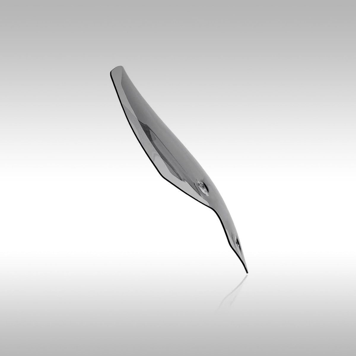 WRS - TOURING WINDSCREEN - TRIUMPH TIGER 850 / 900